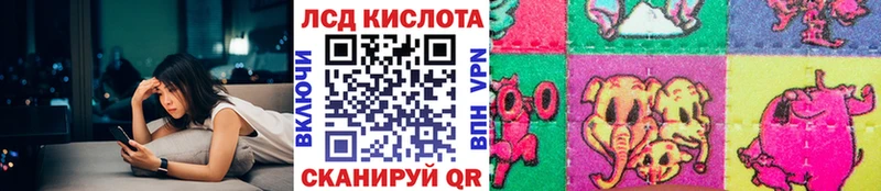 магазин продажи наркотиков  Княгинино  Марки NBOMe 1500мкг 