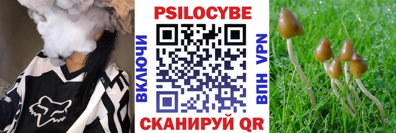 закладки  Княгинино  Галлюциногенные грибы мухоморы 